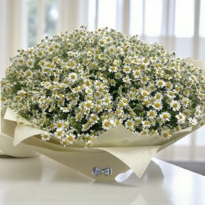 Golden Glow Chamomile Bouquet