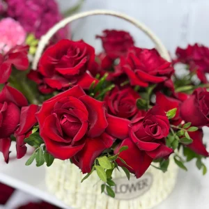 Red Rose Delivery