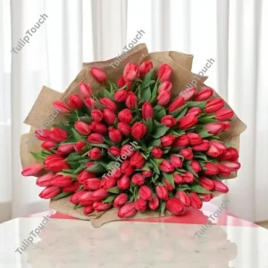 Crimson Elegance Tulips
