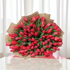 Crimson Elegance Tulips