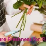 Ensure-Freshness-for-Flower