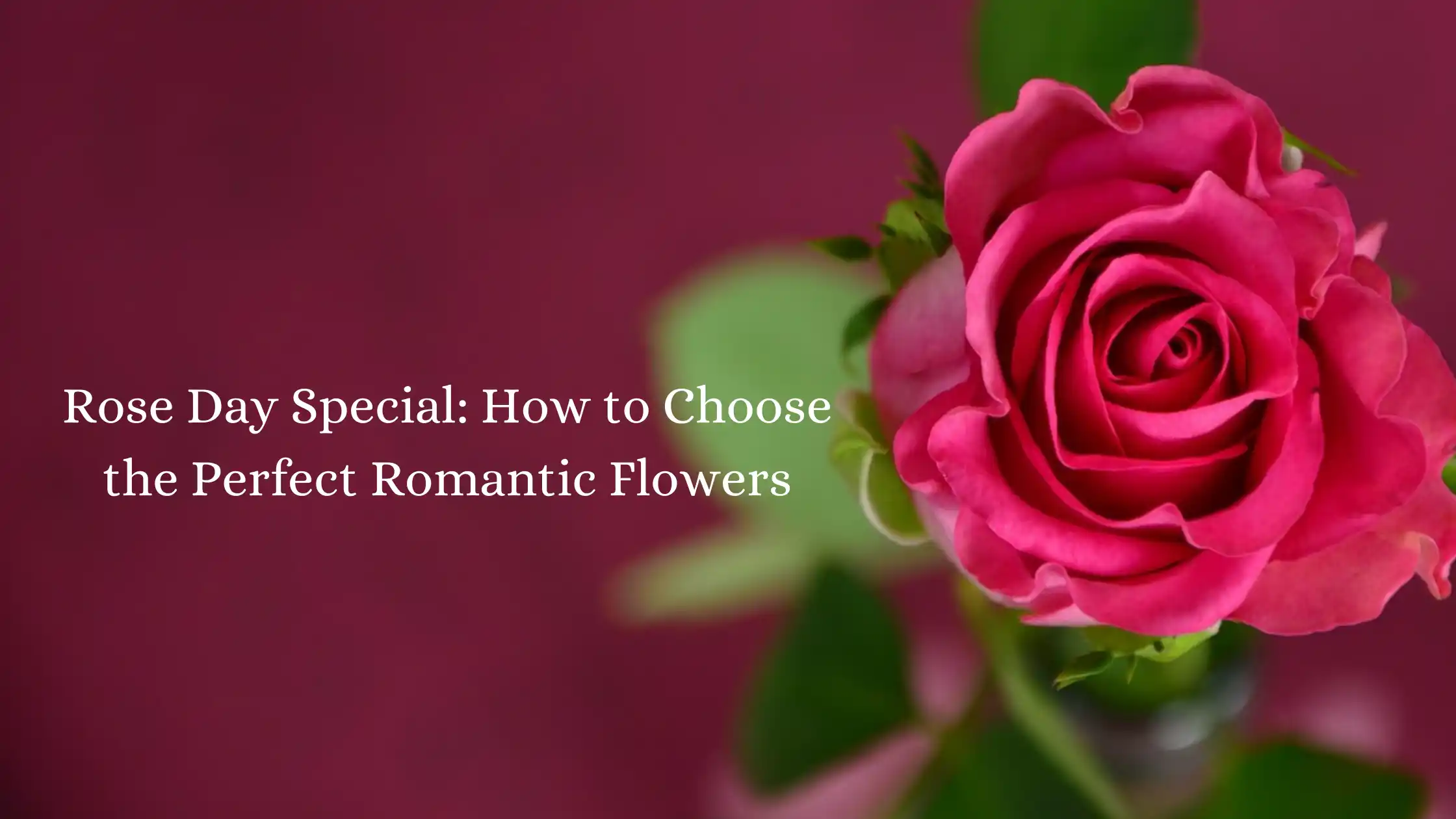 Rose Day Special