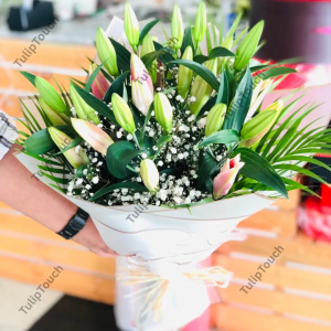 tulip flowers dubai