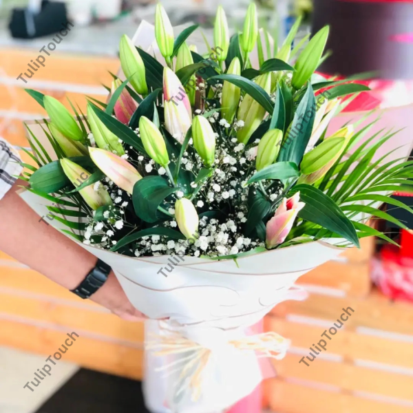 tulip flowers dubai