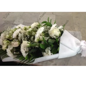 white rose flowers