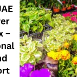 UAE flower trends