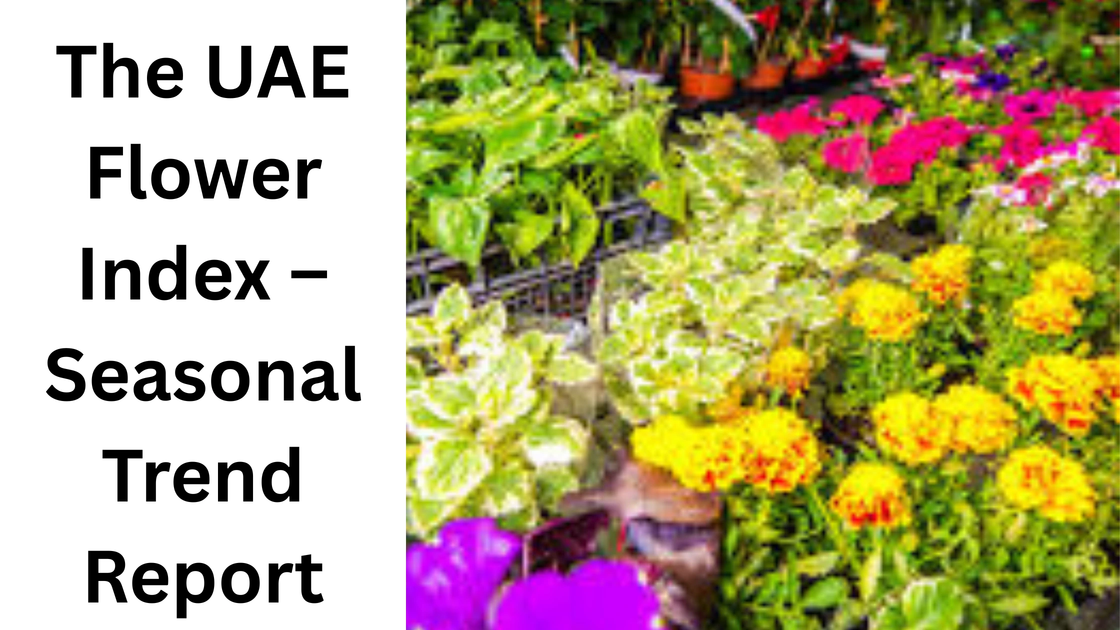 UAE flower trends
