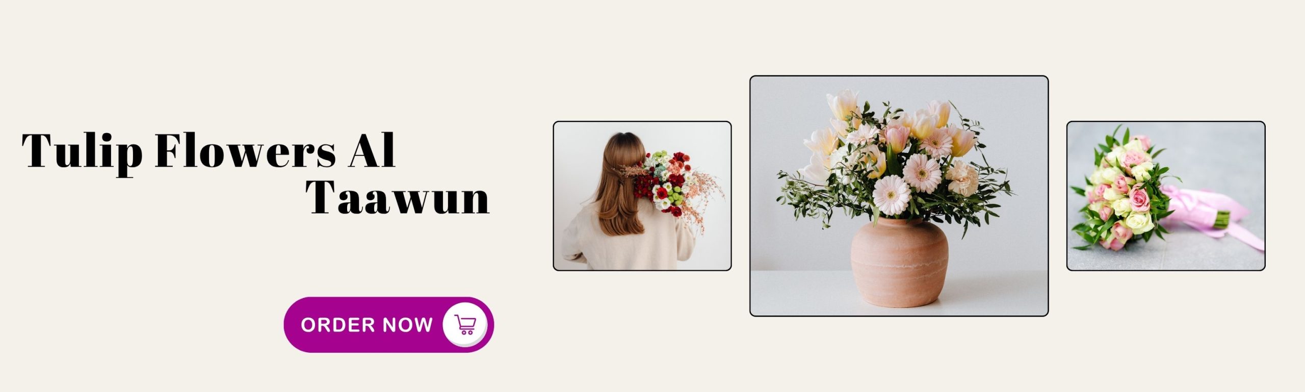 Tulip Flowers Al Taawun